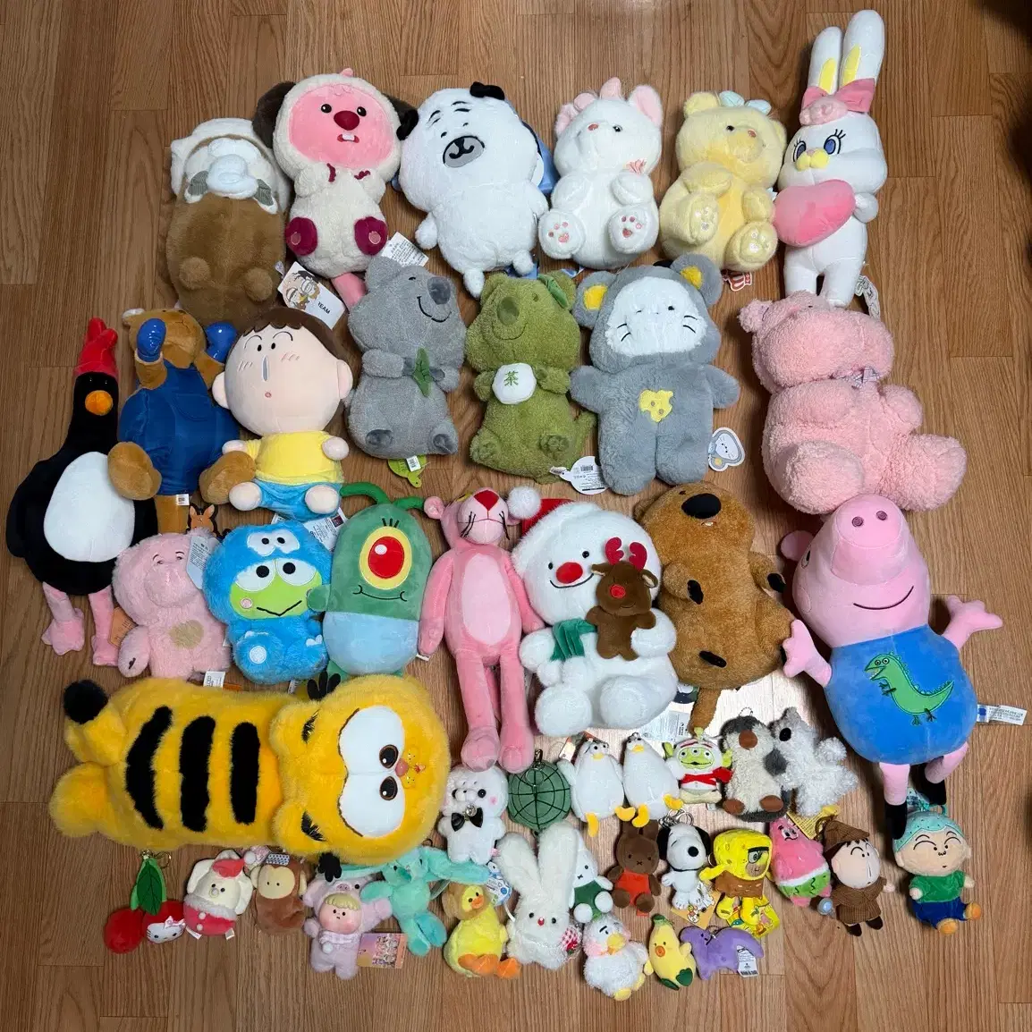 SS grade medium character doll bulk #피카츄,#이브이,#산리오,#오로라핑,#하츄핑 on Bunjang  Global Site.