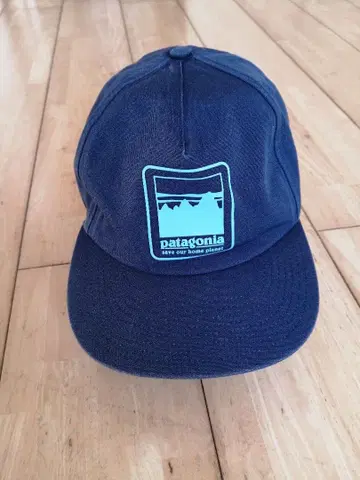 patagonia 네이비 캡