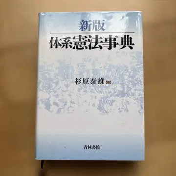 체계 헌법 사전