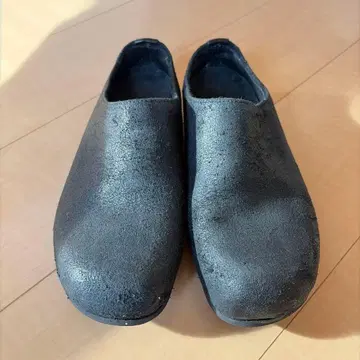 나카무라 사보 25cm