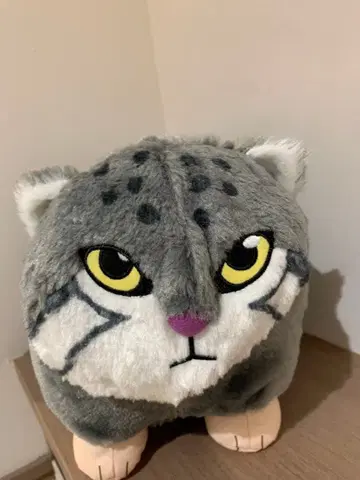 FANS 마눌 고양이 봉제 인형 XL 프리미엄 봉제 인형