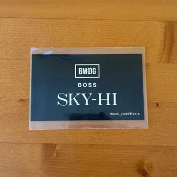 SKY-HI 명함