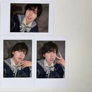 팬더 드래곤 나기 하피카