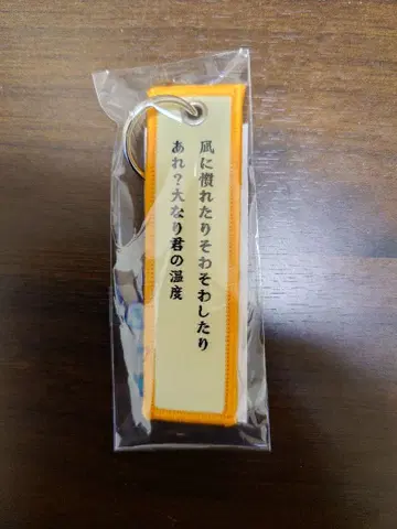 UNISON SQUARE GARDEN 우루와시 가사 택