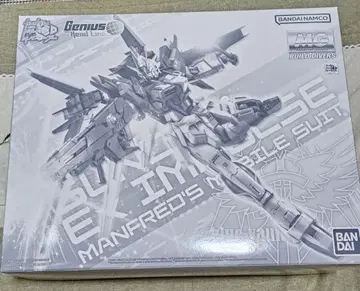 [금일 한정 판매] MG 1/100 건담 엑스 임펄스