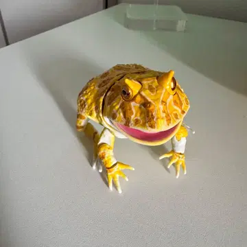 리얼한 옐로우 컬러 개구리 피규어