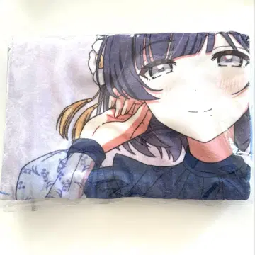 학원 아이돌 마스터 빅 타월 하타야 미스즈