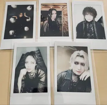 마텐로 오페라 폴라로이드 5장 세트