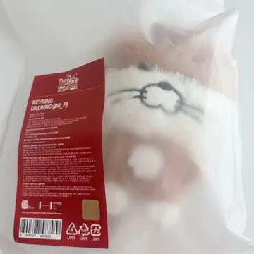 BOYNEXTDOOR 봉제 인형 키링 ID 포함 리우