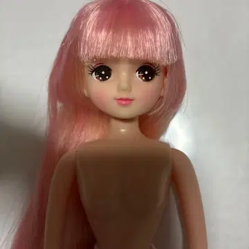 리카짱 캐슬 즐거운 인형 키라짱 공주 컷 믹스 헤어