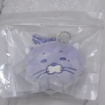 BOYNEXETDOOR 보넥도 리우 푸넥도 달링 키링