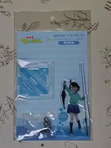 호타카 나츠미 방과 후 티보 일지 바다의 축제 기념 아크릴 스탠드 키링