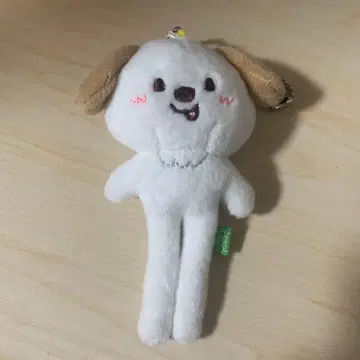 RIIZE 앤톤 몽룡이 랜덤 롱 키링