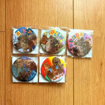 논호이 파크 사자 아기 캔뱃지 컴플리트 사자