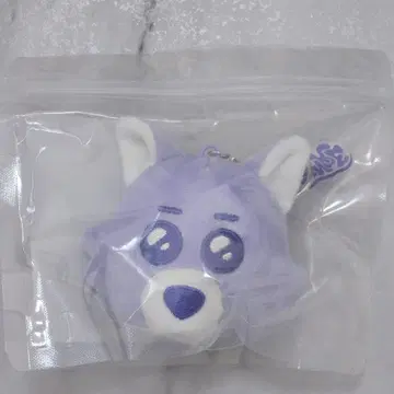 BOYNEXETDOOR 보넥도 제현 푸넥도 명명 한국