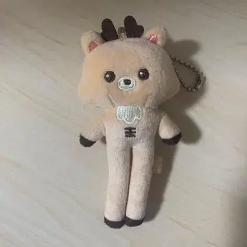 RIIZE 성찬 우라밤 랜덤 롱 키링