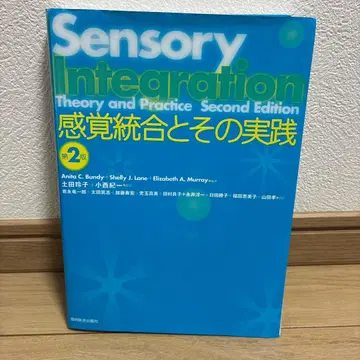 감각 통합과 그 실천 제2판