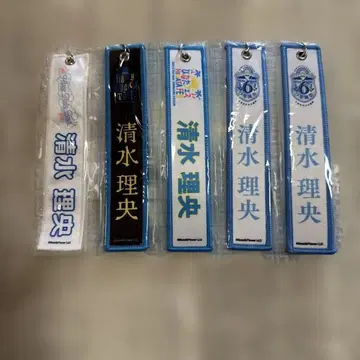 히나타자카46 시미즈 리오 네임택 세트