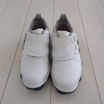 풋조이 골프화 화이트 사이즈:25.0cm