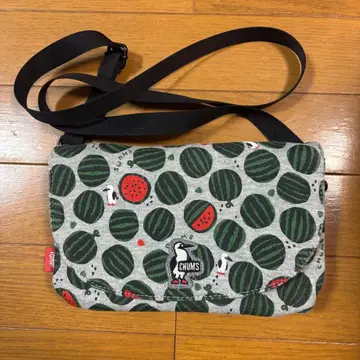 새상품급 CHUMS 참스 숄더백 수박 여름