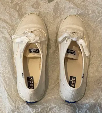 Keds 캔버스 화이트 스니커즈