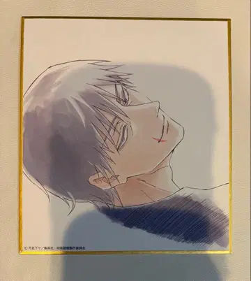 주술회전전 회옥옥절 블라인드 미니색지 후시구로 토우지