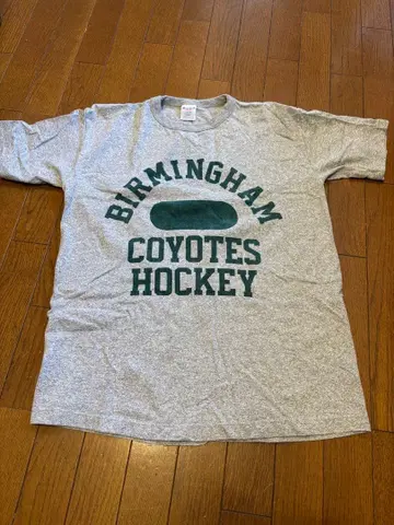 buddy 하라주쿠 champion T1011 티셔츠