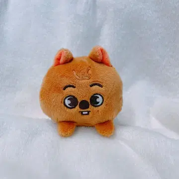 Straykids SKZOO 한쿼카 백참