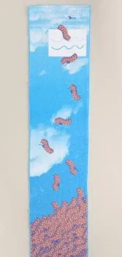 cheese cheap shop Brachio Party