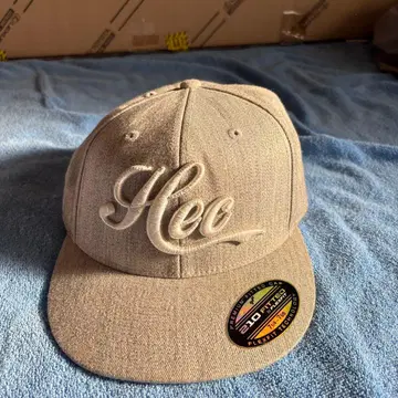 헥틱 자수 로고 야구 모자