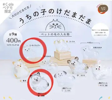 포메라니안 블랙 시바 페테모 한정판 우리 아이 털뭉치 강아지 모듬 굿즈