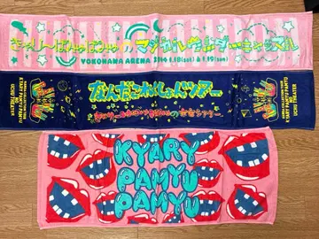 캬리 파뮤파뮤 타월 난다코레쿠숀 투어