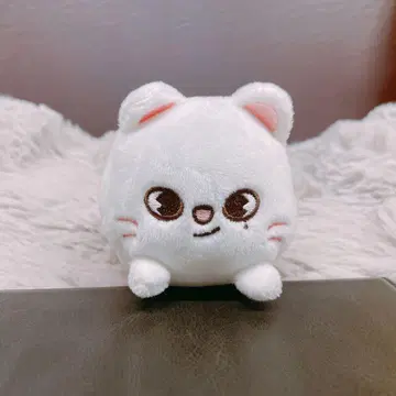 Straykids SKZOO 지니레트 백참