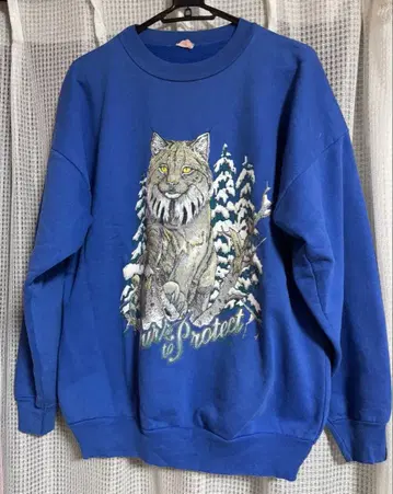 야생 고양이 고양이 프린트 맨투맨 트레이닝복 파랑 블루 S~M 사이즈