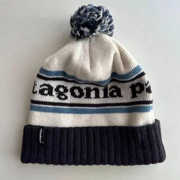 Patagonia 파타고니아 파우더 타운 니트 모자 비니