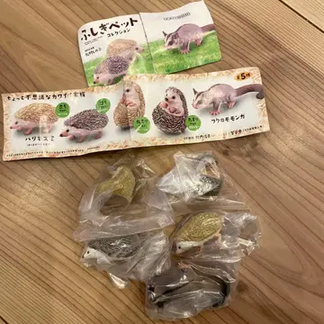 [ 미개봉 전 5종 컴프 ] 카이요도 캡슐Q 후시기 반려동물 컬렉션