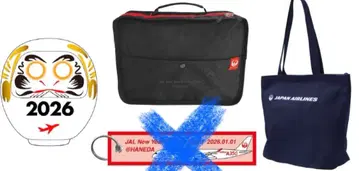 JAL 2026년 첫 일출 플라이트