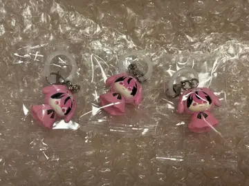 시쿠포니 메지루시 액세서리 LAN