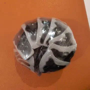 생물대도감 어드밴스 공벌레 제브라 공벌레 가챠 가샤폰 한정판