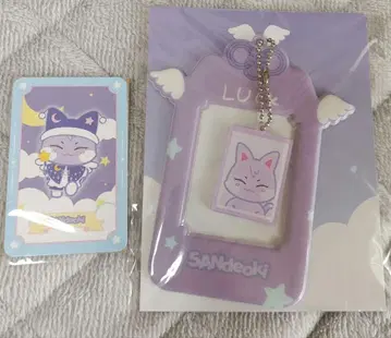 샌드키 트레이딩 카드 케이스 새상품 ANITEEZ IN DREAMLAND