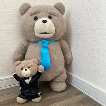 ted 봉제 인형 대소 세트