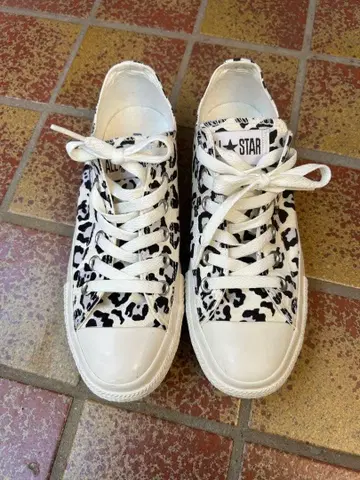 converse 레오파드 무늬 스니커즈