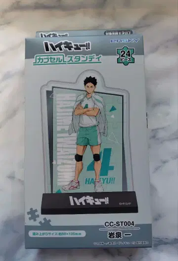 하이큐!! 이와이즈미 하지메