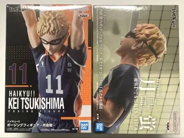 하이큐!! 피규어 츠키시마 케이