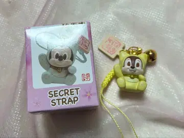 시크릿 스트랩 2026년 영춘 컬렉션 칩