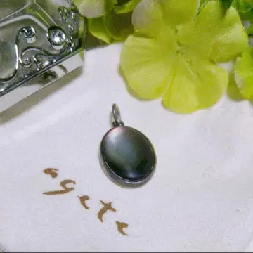 [ agete ] 참 (검은 나비 조개)