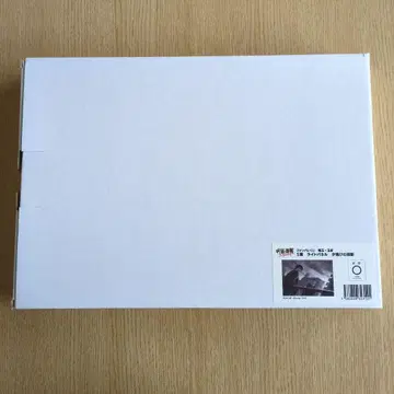 주술회전 팬파레 복권 회옥옥절 후시구로 토우지 S상 라이트 패널