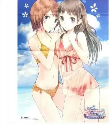 아틀리에 피리스의 작업실 A1 천 포스터 필리 & 토토리