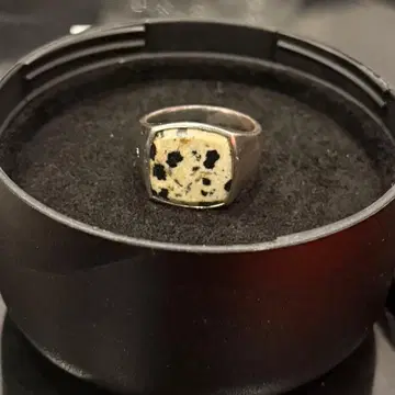 TOMWOOD 실버 반지 레오파드 [레어]