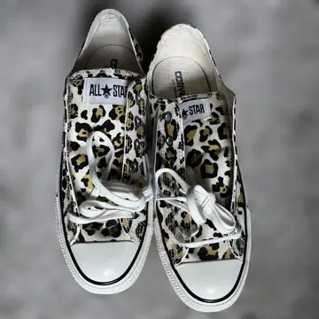 컨버스 올스타 레오파드 무늬 새상품